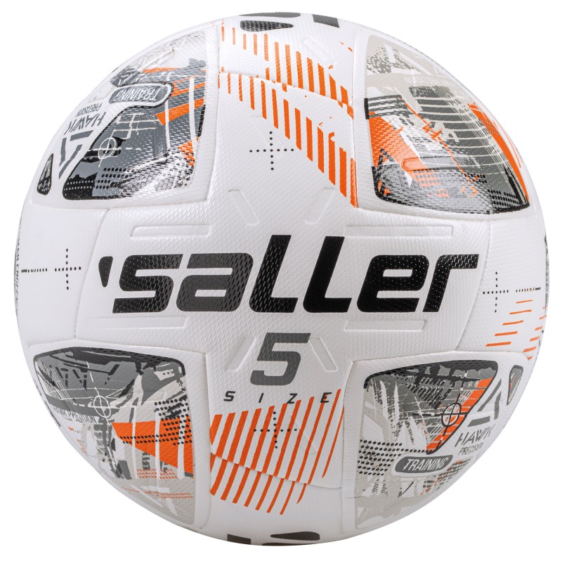 1643-trainingsball-hawk-training